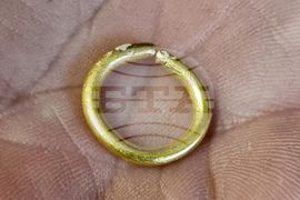 Варна - Варненски халколитен некропол - находки