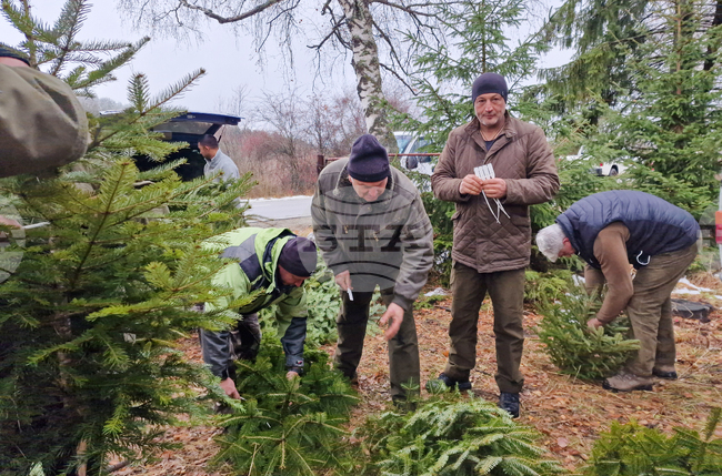 Не са констатирани нарушения при извършената проверка в Държавно горско стопанство - Сандански, каза директорът инженер Симеон Ефремов