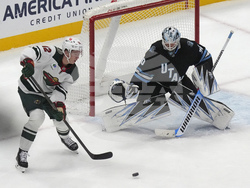 Wild Utah Hockey