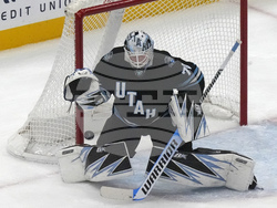 Wild Utah Hockey