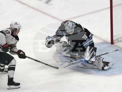 Wild Utah Hockey