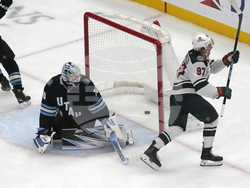 Wild Utah Hockey