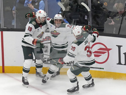 Wild Utah Hockey
