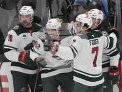 Wild Utah Hockey