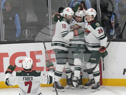 Wild Utah Hockey