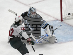 Wild Utah Hockey