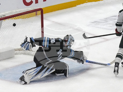 Wild Utah Hockey