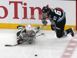 Wild Utah Hockey