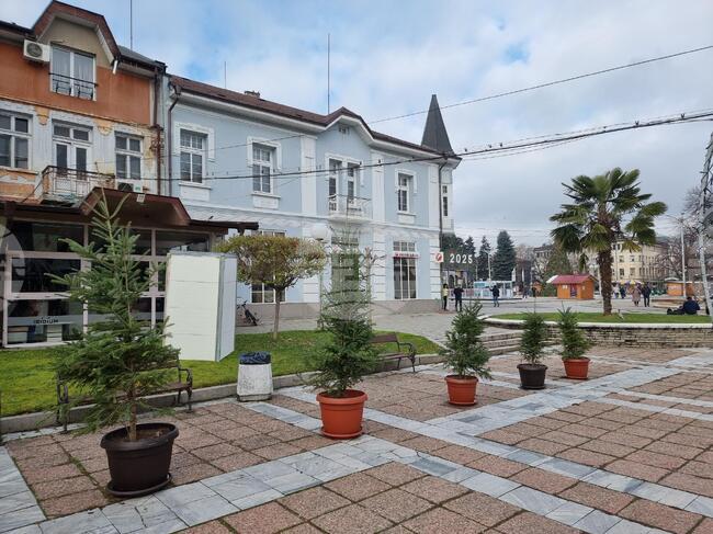 Тази събота в Кюстендил започва инициативата „Елхи на надеждата“