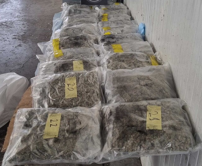 Окръжна прокуратура-Хасково привлече като обвиняем и задържа български гражданин за опит за контрабанда на марихуана през ГКПП – Капитан Андреево за 190 400 лева