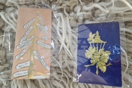 Хасково - Регионална библиотека - изложба „Новогодишна ретро поща“