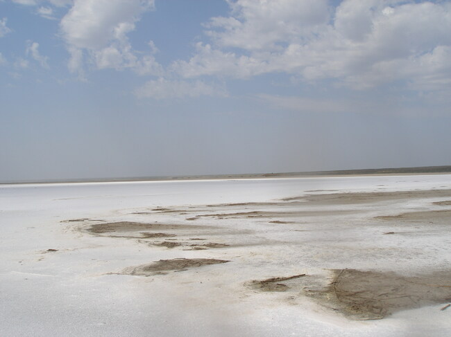 Климатичната криза и лошото управление допринасят за прекомерно засоляване, което засяга над 10 процента от общата земна площ, според ФАО