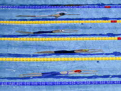 Hungary Swimming Short Course Worlds