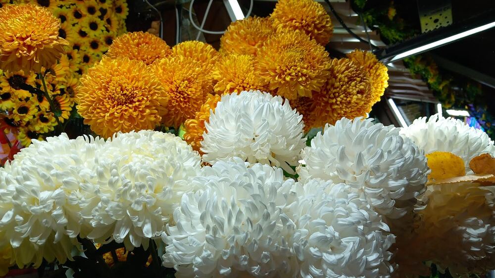 Община Стара Загора: 697 старозагорци ще чуят благопожелания за името си на Св. Спиридон утре