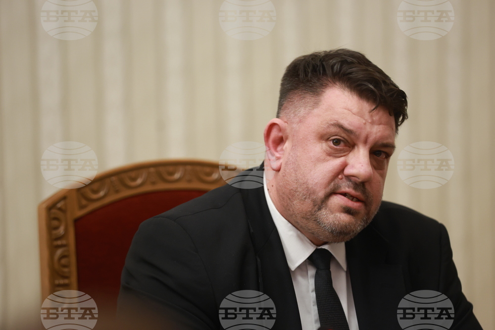 Президент - „БСП - Обединена левица" - консултации - Атанас Зафиров