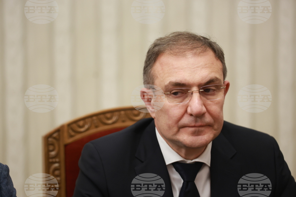 Президент - „БСП - Обединена левица" - консултации - Борислав Гуцанов