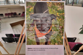 Перник - Общински приют за безстопанствени кучета - благотворителен базар