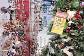 Румъния - зимни празници - потребителска кошница