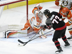 Senators Ducks Hockey