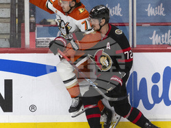 Senators Ducks Hockey