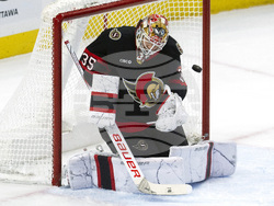 Senators Ducks Hockey