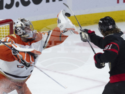 Senators Ducks Hockey