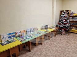 Разград - библиотека - книги 