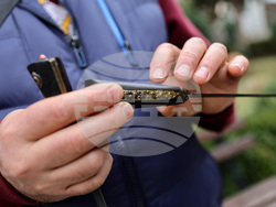 Пловдив - Ден на занаятчиите - Свети Спиридон - закрилник