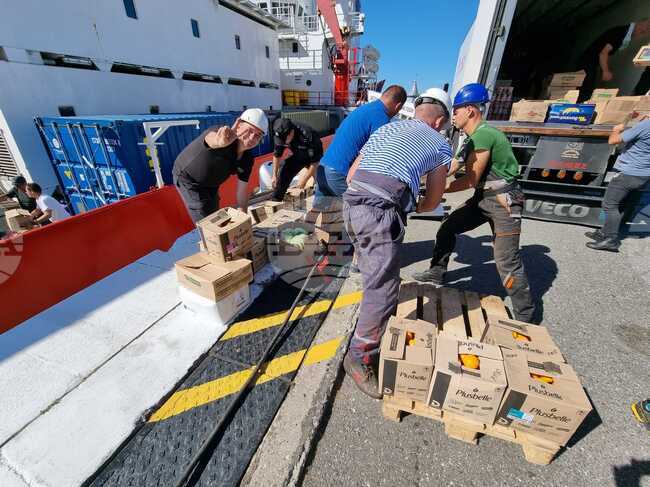 Ден 41 - Мар дел Плата - Антарктида - Аржентина - НИК 421