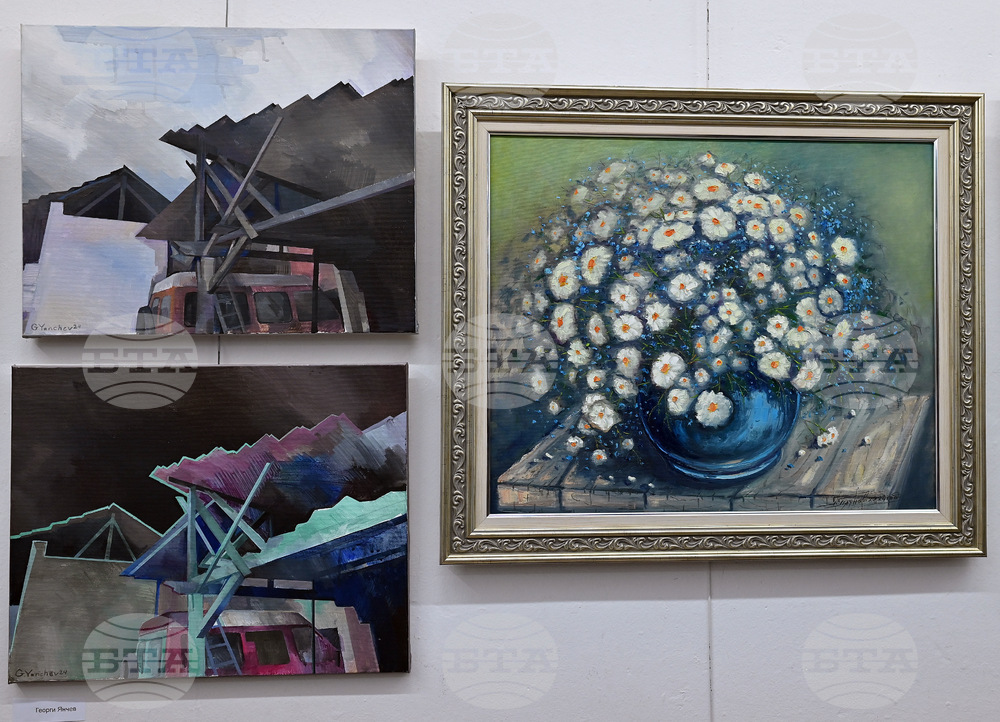 Монтана - изложба - благотворителност