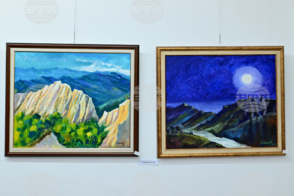 Монтана - изложба - благотворителност