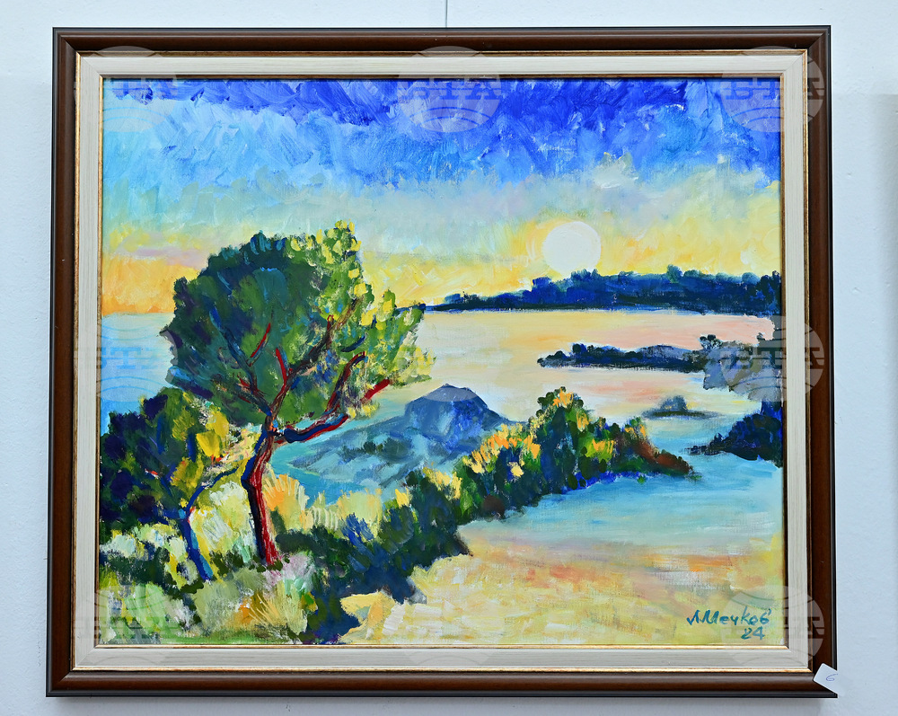 Монтана - изложба - благотворителност