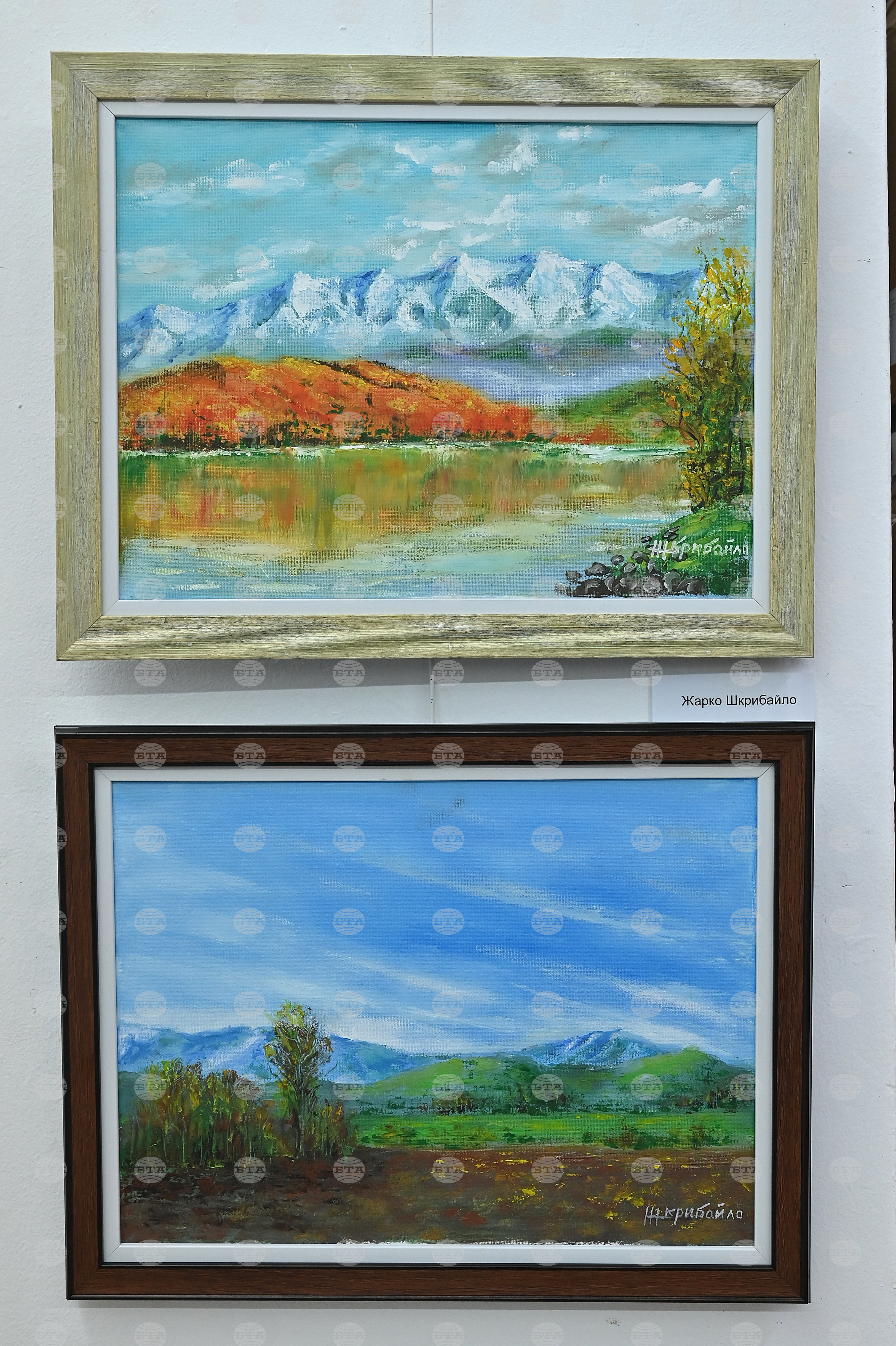 Монтана - изложба - благотворителност