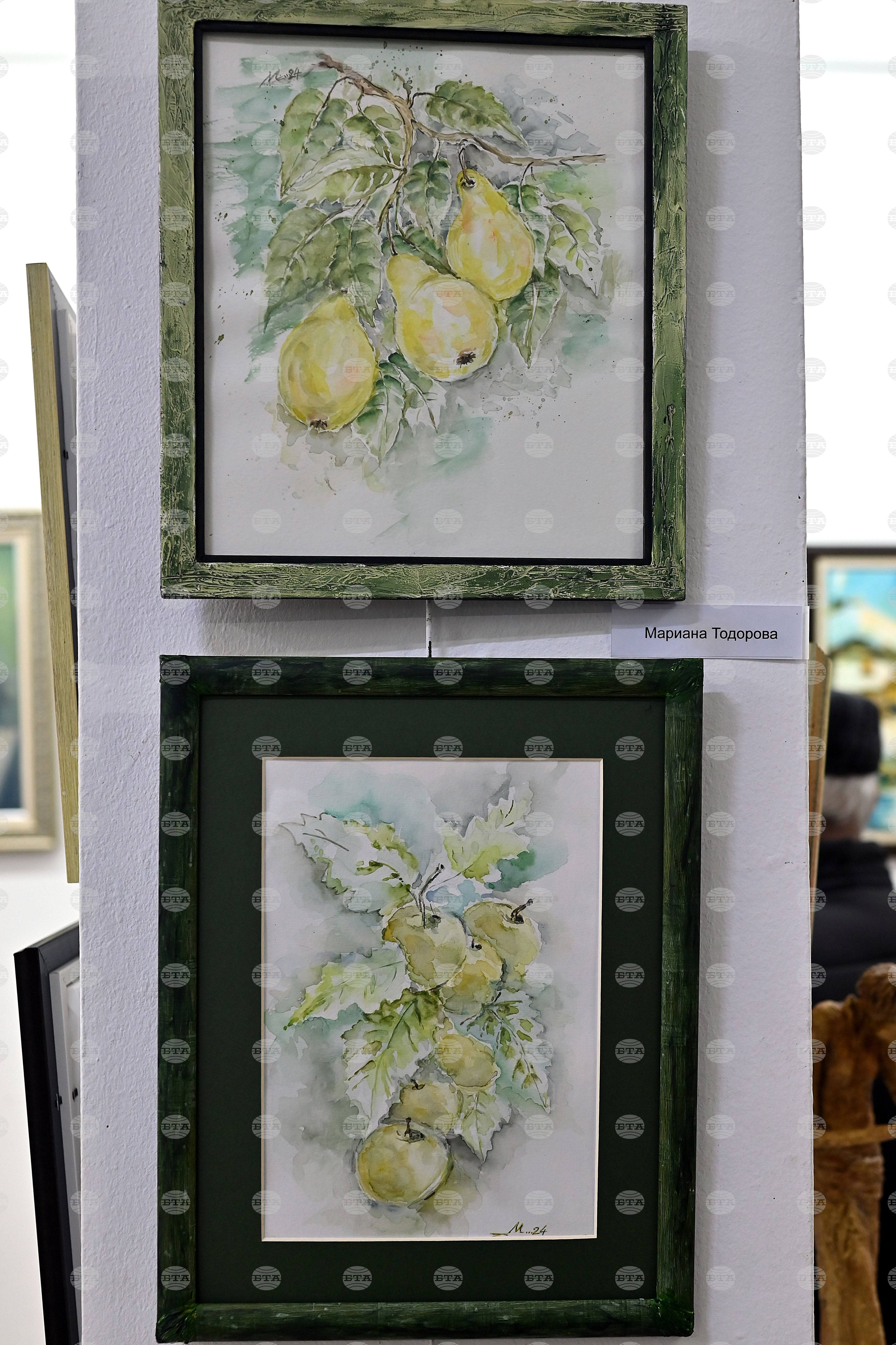 Монтана - изложба - благотворителност