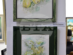 Монтана - изложба - благотворителност