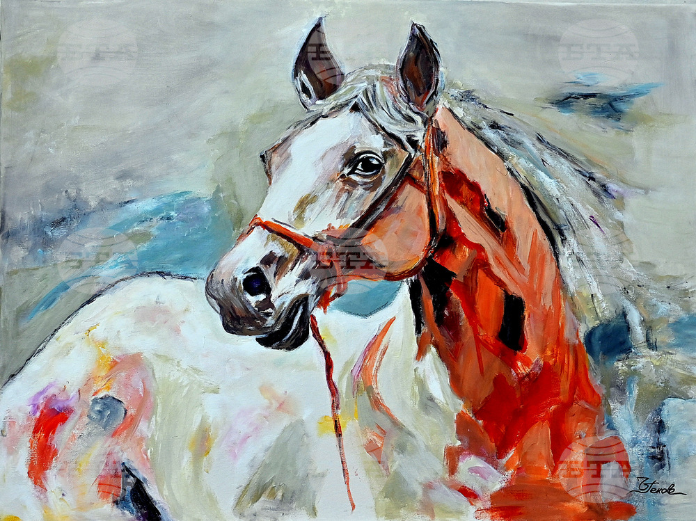 Монтана - изложба - благотворителност