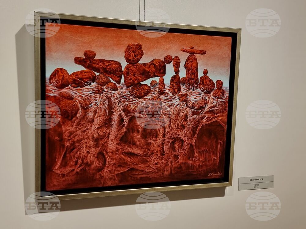 Ямбол - коледна изложба