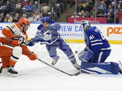 Ducks Maple Leafs Hockey