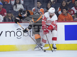 Red Wings Flyers Hockey