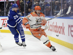 Ducks Maple Leafs Hockey