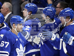 Ducks Maple Leafs Hockey