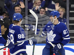 Ducks Maple Leafs Hockey