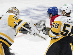 Penguins Canadiens Hockey
