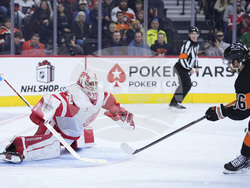 Red Wings Flyers Hockey