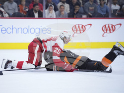 Red Wings Flyers Hockey