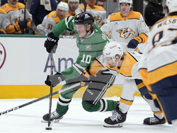 Predators Stars Hockey