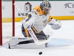 Predators Stars Hockey