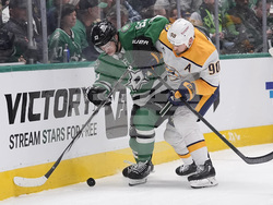 Predators Stars Hockey