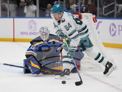 Sharks Blues Hockey