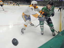 Predators Stars Hockey